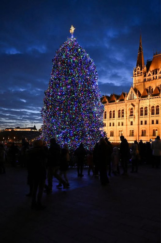 602413828 1441637837316176 2141853254838794155 n.jpg?stp=dst jpg p526x296 tt6& nc cat=104&ccb=1 7& n.jpg