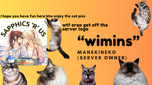 vertification 0.png
