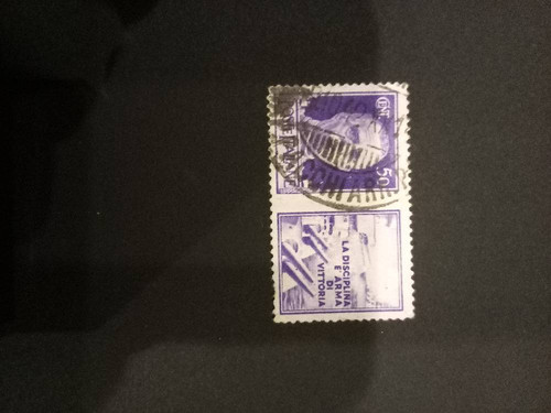 8a97499539b8.jpg