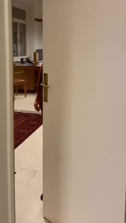 k iCPWQqDgBBgeh1.jpg