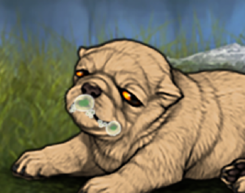 Capture.png