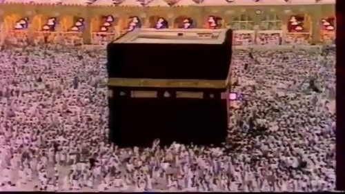 9JxU rmClvPK3plH.jpg