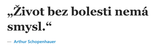 Bez názvu.png