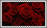 IMG 4023.png
