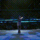 1732381387.gif