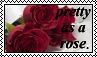 IMG 4026.png