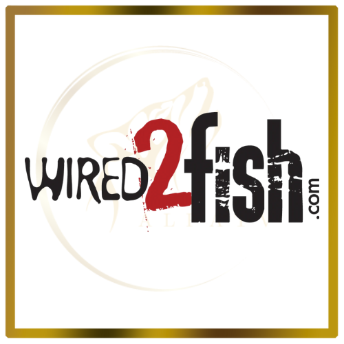 wired 2 fish tv.png