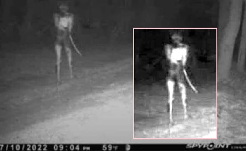 [Image: fGcuX72.jpg]