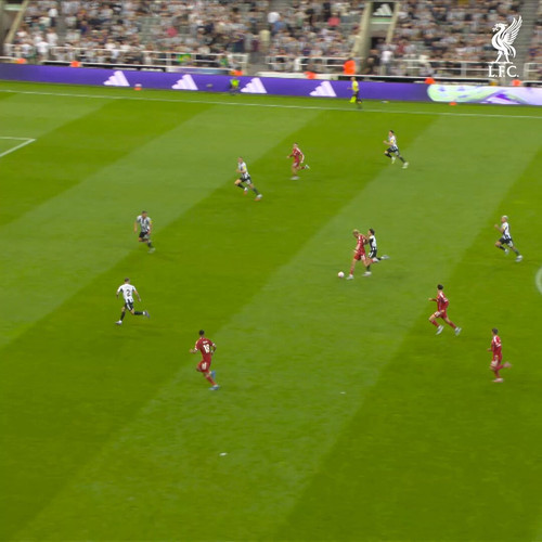 XwtXZxoOxA0t wyj.jpg