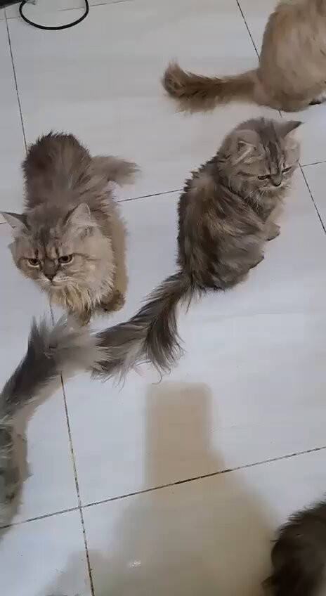 GLcwI3Nk oUDQgwK.jpg