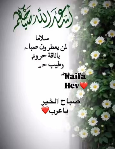 9cirz yTka J087j.jpg