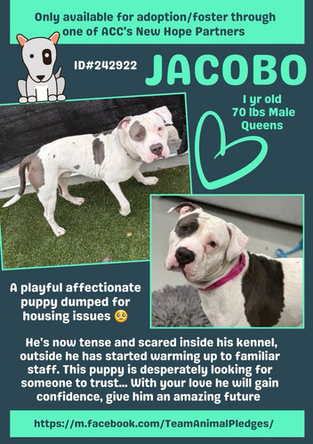 G7 jDHIWsAMZvQO?format=jpg.jpg