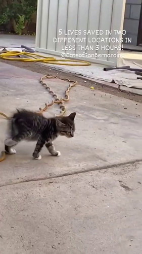 NKpLGKprU bO66tx.jpg