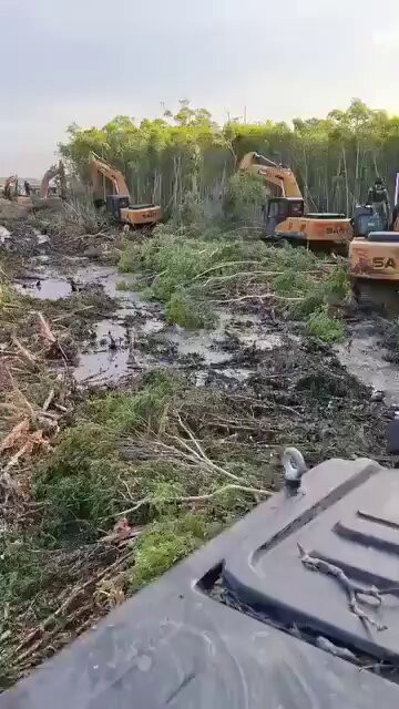 H3b HabtSNI4fArM.jpg