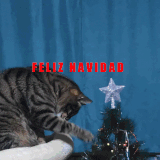 FELIZ NAVIDAD 2025.gif