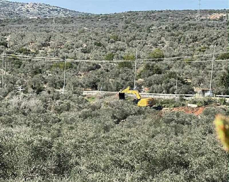 تواصل قوات الاحتلال عمليات التجريف واقتلاع أشجار الزيتون المثمرة في منطقة المصرارة ببلدة ديراستيا غرب سلفيت....