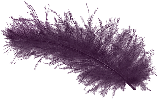 SS IridescentMidnight Elements (100).png