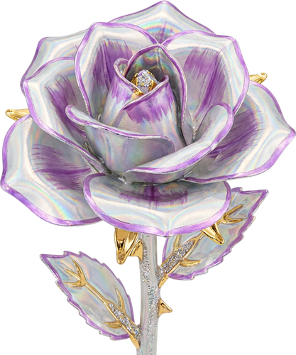 SS IridescentMidnight Elements (131).png