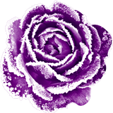 SS IridescentMidnight Elements (140)