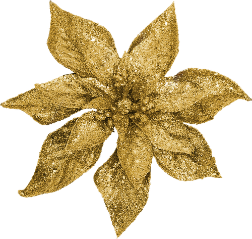 SS IridescentMidnight Elements (148).png