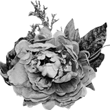 SS IridescentMidnight Elements (159)