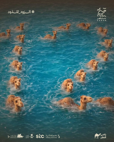 QCR0MgJ 5eoCS5js.jpg