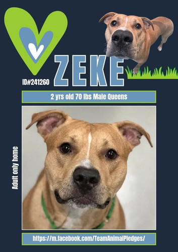 G5zpPnVWIAARyx ?format=jpg.jpg