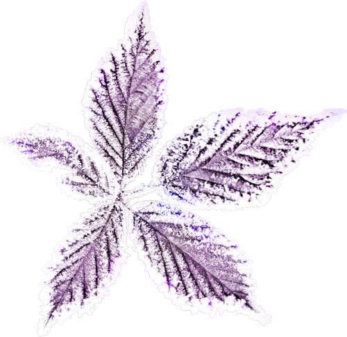 SS IridescentMidnight Elements (174).png