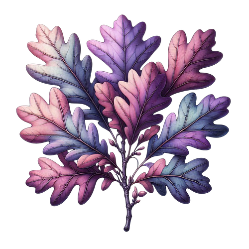 62.png