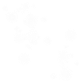 gl 2