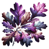 08