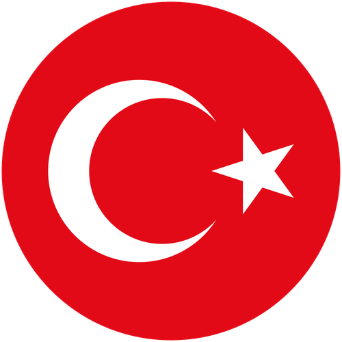turkey national team footballlogos org.png