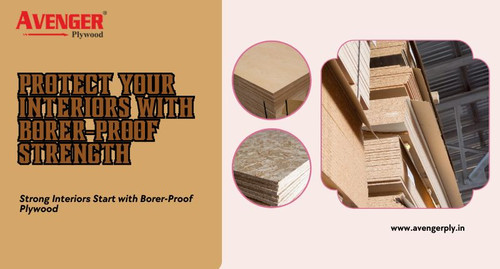 Best Borer-Proof Plywood in Kolkata – Strong Protection for Lasting Interiors.jpg