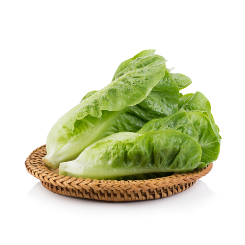 1Cover120697cc35e3e18496b80366496dec68eb0900x900 e5a909ff 6f72 4536 b1dd ca10b599efd7 900x900.png