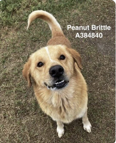 G8xyddPWcAAg xp?format=jpg.jpg