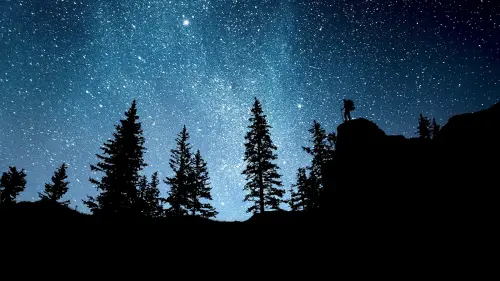 1600w wonUlAKpJt4.webp