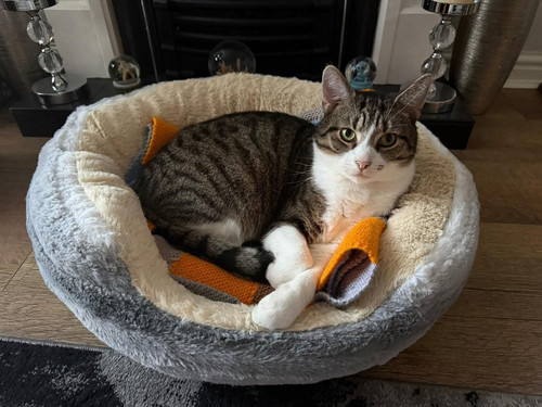 G87Mb fXoAAQTaw?format=jpg.jpg