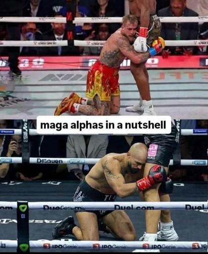G8uj7ZBXsAARhb7?format=jpg.jpg