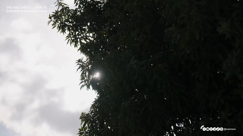 wvHQcOBEaa5v Ct6.jpg