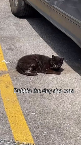 59ETRVCnoJg6DGrM.jpg