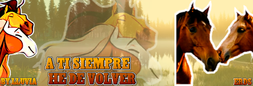 firma acabada.png