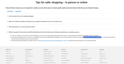 MS website.png