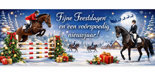 ChristmasBanner blue.png