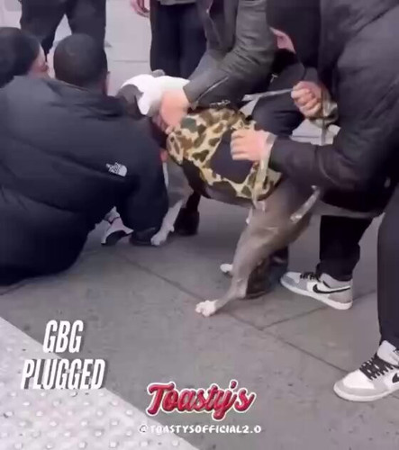 PPa qcBXyqKTWle8.jpg