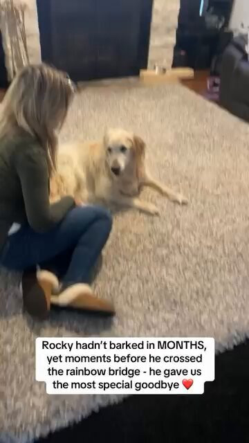 ne33nzBBZNJZtj F.jpg