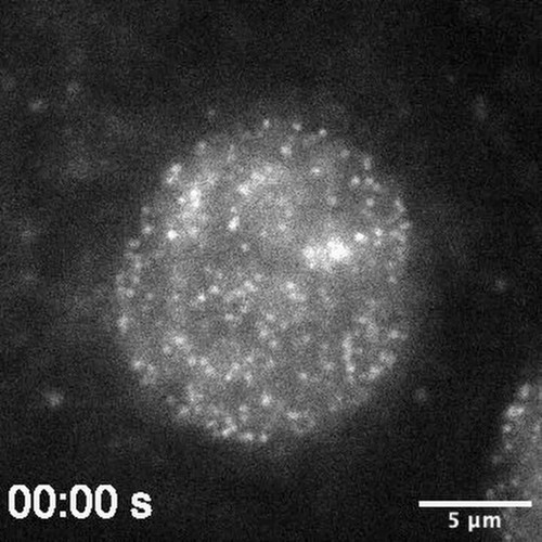 2Va NXxaw9zMoicP.jpg