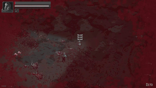 RkusPM0DS aPPA49.jpg