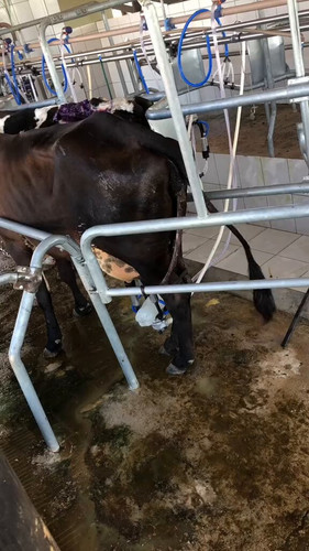 PC1GAV 0fWD Kw U.jpg