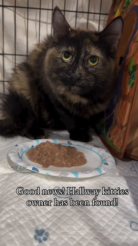 296akGx0Wx hUHTY.jpg