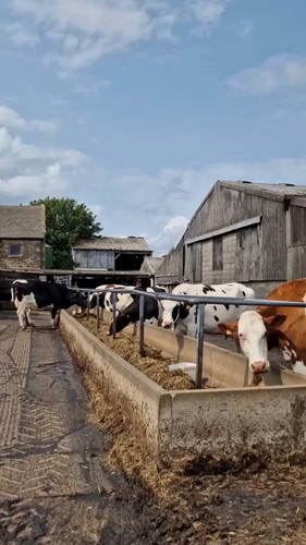 HANvK vzwqax6Z9d.jpg